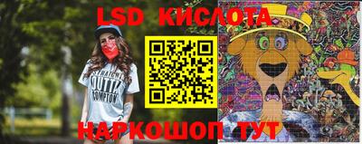 стафф Коммунар