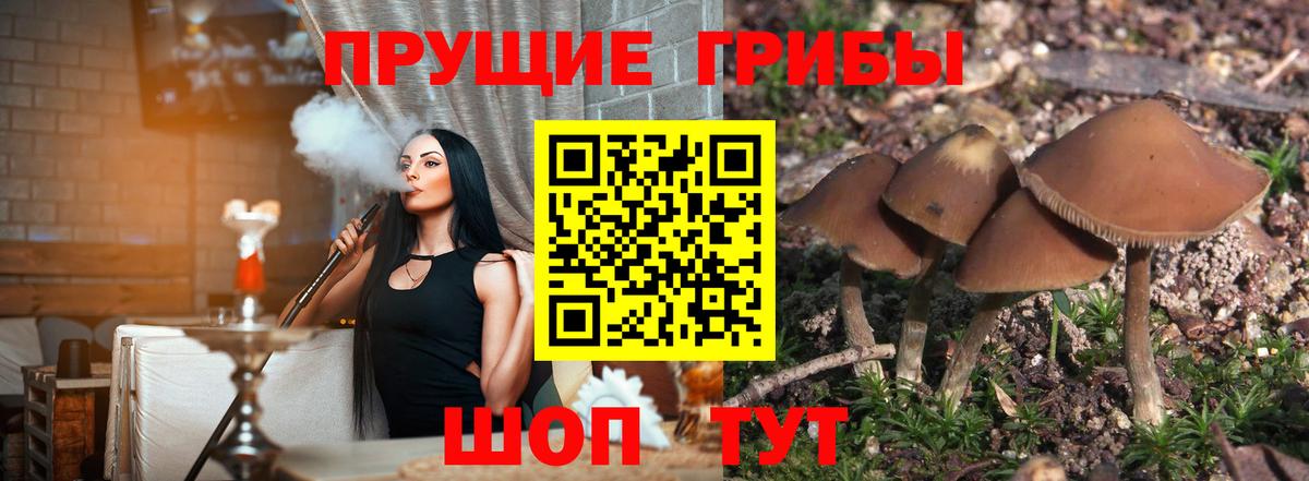 Галлюциногенные грибы прущие грибы  где найти   Фурманов  Вход с VPN 