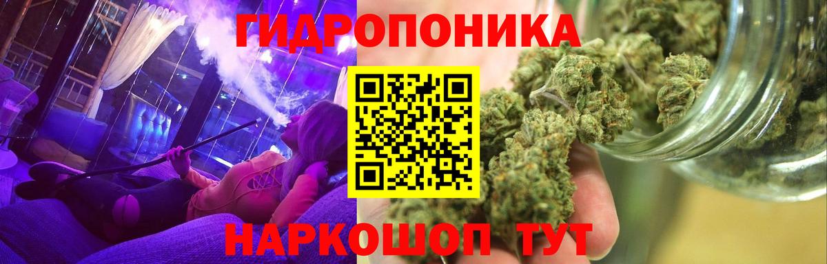 Конопля конопля  Бошки Шишки планчик  Фурманов  Вход с VPN  Конопля Bruce Banner 